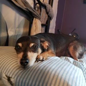 Meet your Posher, Angie